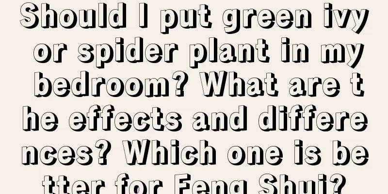 Should I put green ivy or spider plant in my bedroom? What are the effects and differences? Which one is better for Feng Shui?