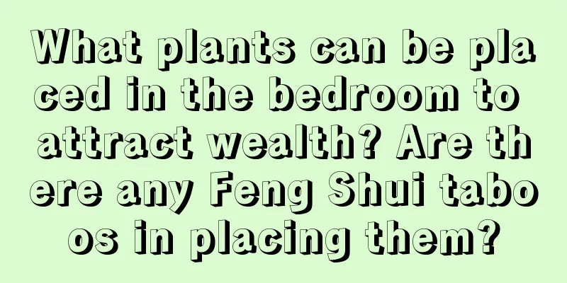 What plants can be placed in the bedroom to attract wealth? Are there any Feng Shui taboos in placing them?