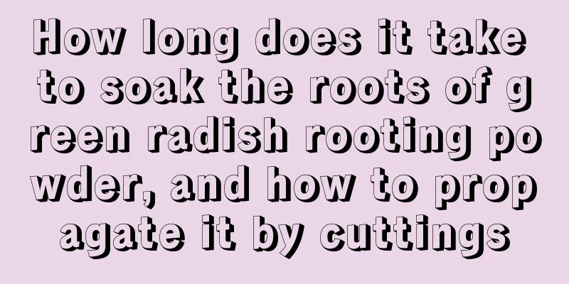 How long does it take to soak the roots of green radish rooting powder, and how to propagate it by cuttings