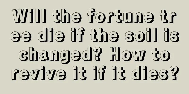 Will the fortune tree die if the soil is changed? How to revive it if it dies?