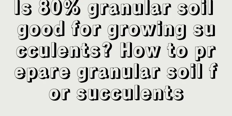 Is 80% granular soil good for growing succulents? How to prepare granular soil for succulents