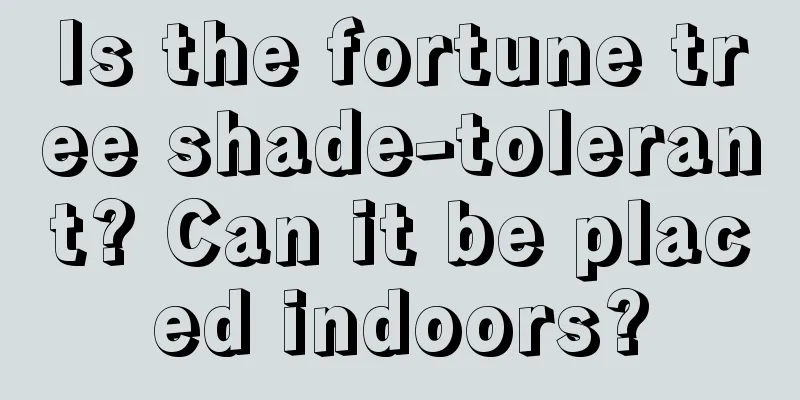 Is the fortune tree shade-tolerant? Can it be placed indoors?