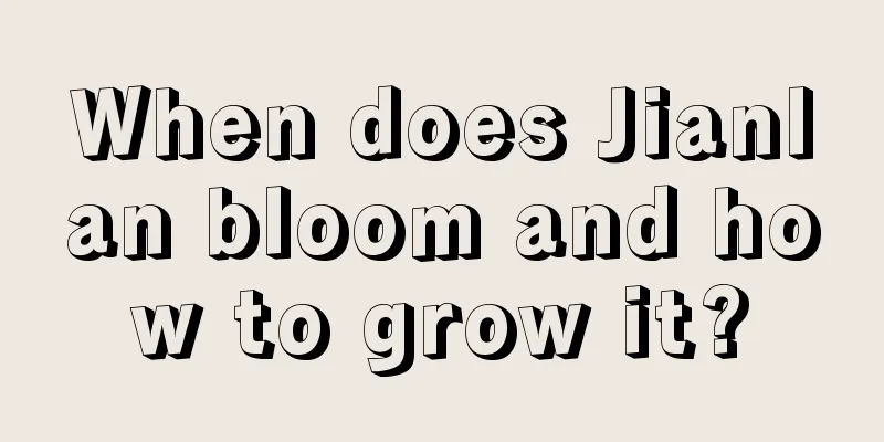 When does Jianlan bloom and how to grow it?