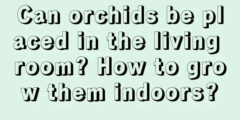 Can orchids be placed in the living room? How to grow them indoors?