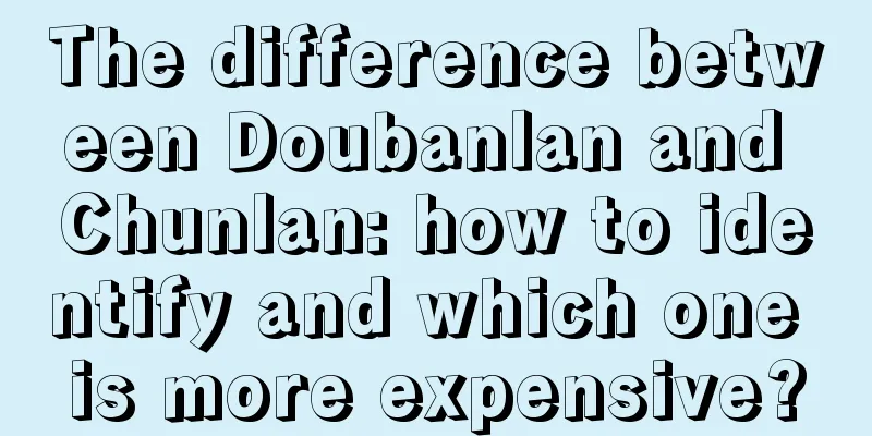 The difference between Doubanlan and Chunlan: how to identify and which one is more expensive?