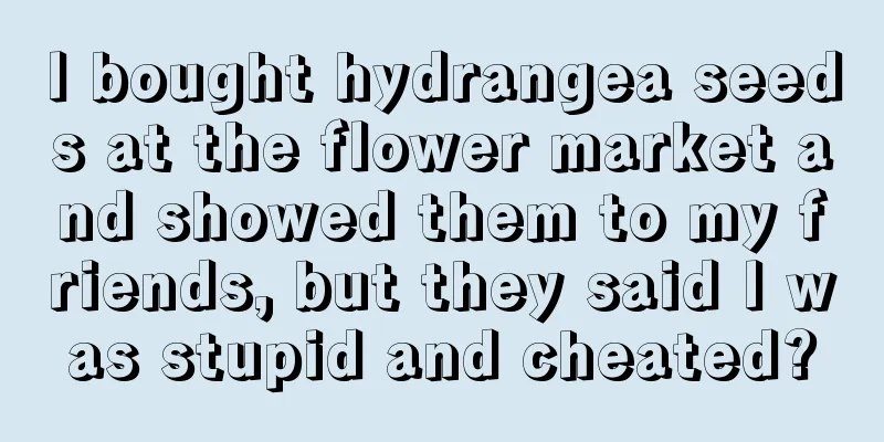 I bought hydrangea seeds at the flower market and showed them to my friends, but they said I was stupid and cheated?