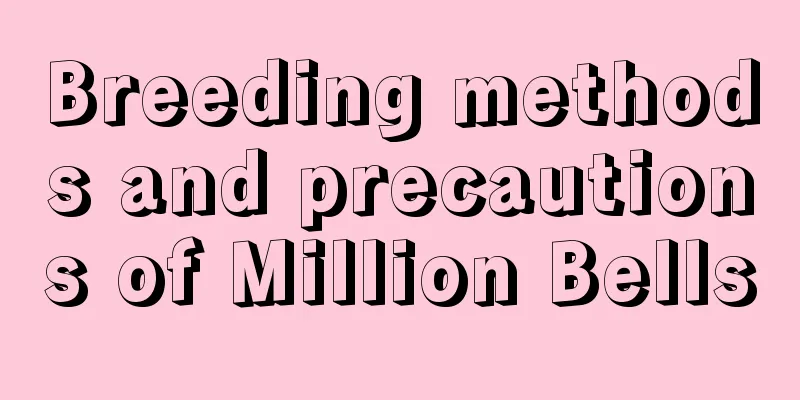 Breeding methods and precautions of Million Bells