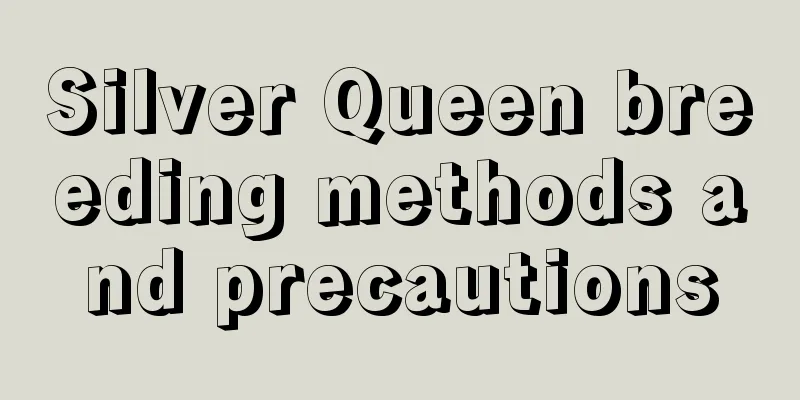 Silver Queen breeding methods and precautions