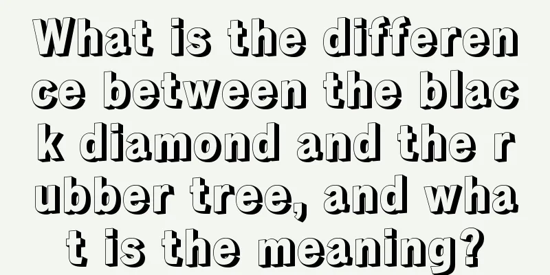 What is the difference between the black diamond and the rubber tree, and what is the meaning?