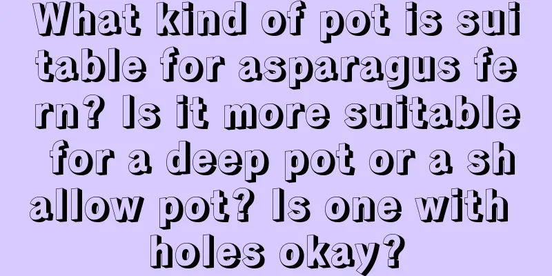 What kind of pot is suitable for asparagus fern? Is it more suitable for a deep pot or a shallow pot? Is one with holes okay?