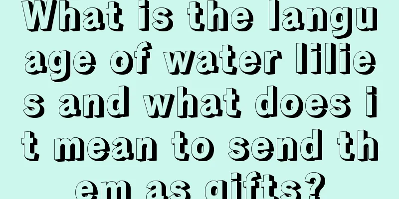 What is the language of water lilies and what does it mean to send them as gifts?