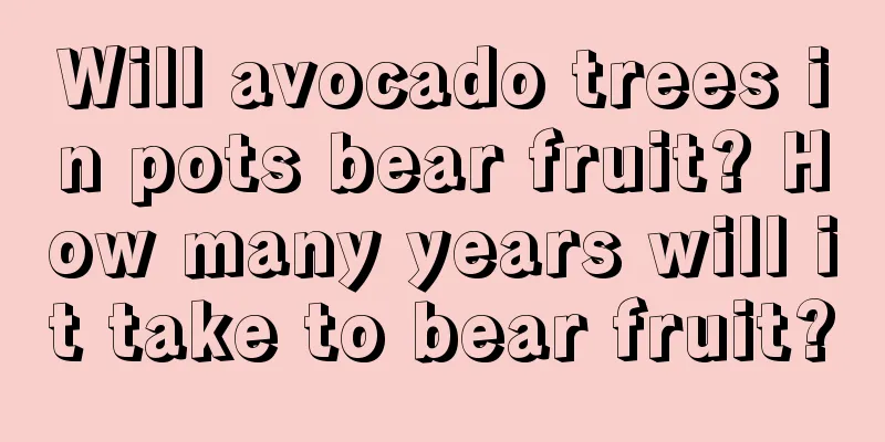 Will avocado trees in pots bear fruit? How many years will it take to bear fruit?