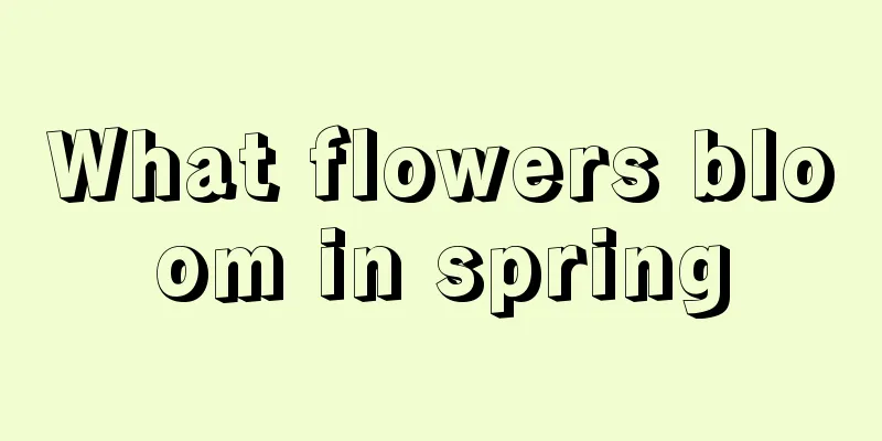 What flowers bloom in spring