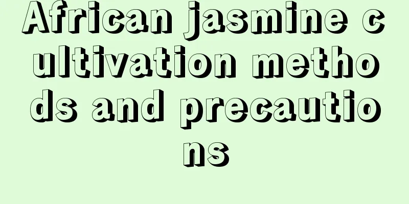 African jasmine cultivation methods and precautions