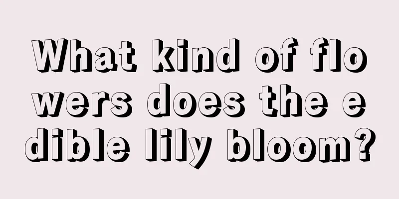 What kind of flowers does the edible lily bloom?