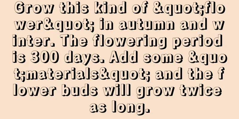 Grow this kind of "flower" in autumn and winter. The flowering period is 300 days. Add some "materials" and the flower buds will grow twice as long.