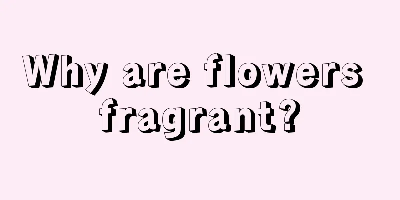 Why are flowers fragrant?