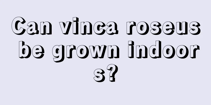 Can vinca roseus be grown indoors?