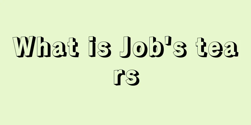 What is Job's tears