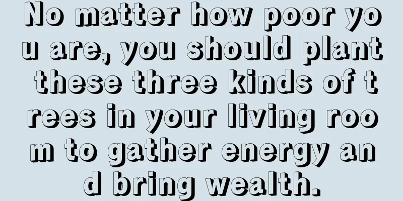 No matter how poor you are, you should plant these three kinds of trees in your living room to gather energy and bring wealth.