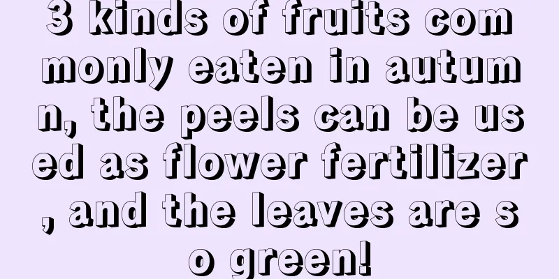 3 kinds of fruits commonly eaten in autumn, the peels can be used as flower fertilizer, and the leaves are so green!