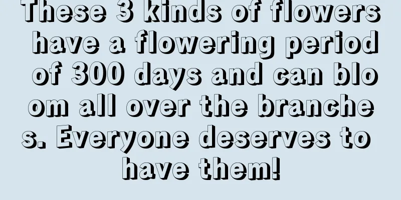 These 3 kinds of flowers have a flowering period of 300 days and can bloom all over the branches. Everyone deserves to have them!