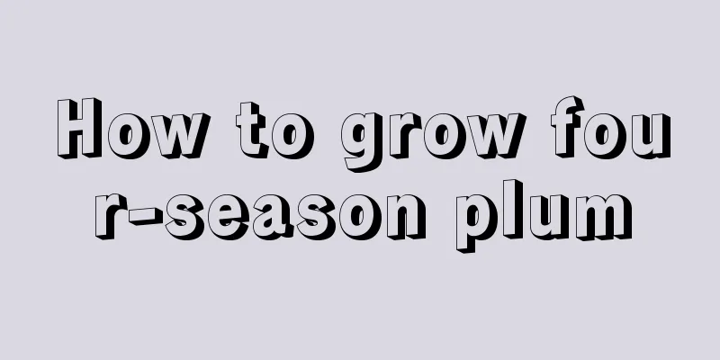 How to grow four-season plum