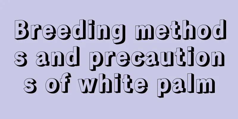 Breeding methods and precautions of white palm