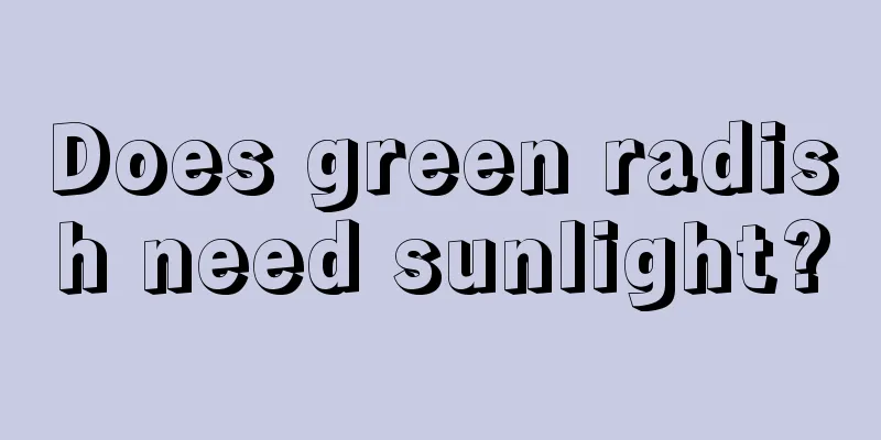 Does green radish need sunlight?