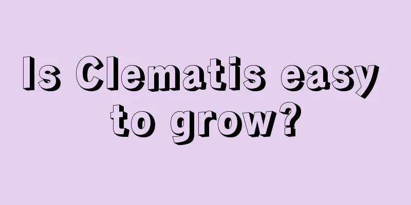 Is Clematis easy to grow?