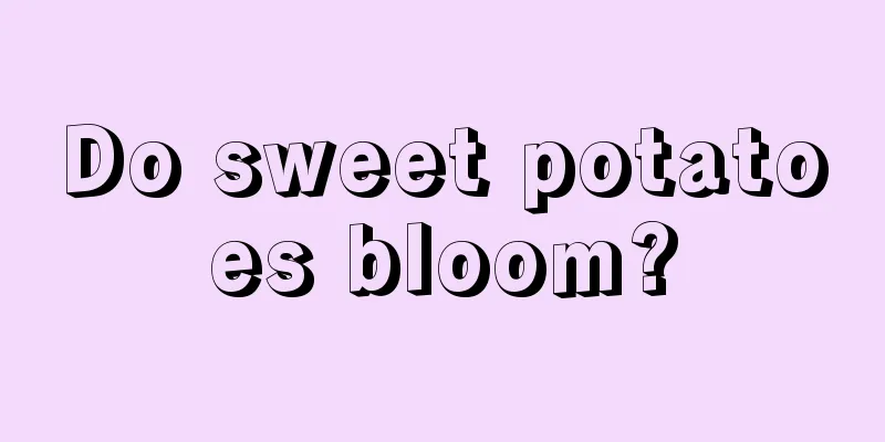 Do sweet potatoes bloom?