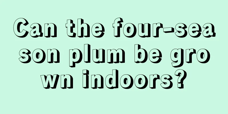 Can the four-season plum be grown indoors?