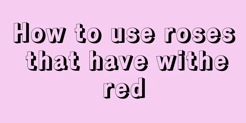 How to use roses that have withered