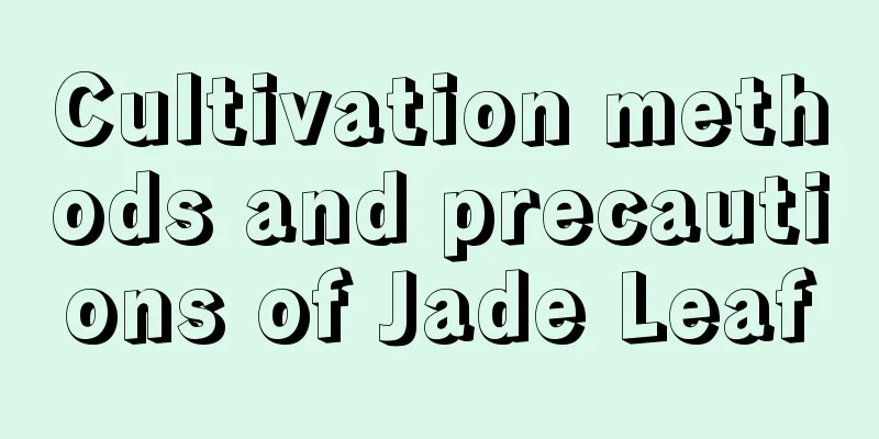 Cultivation methods and precautions of Jade Leaf