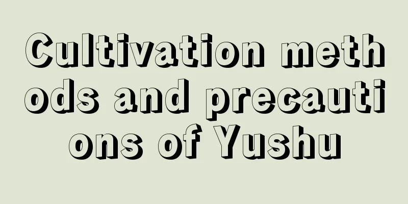 Cultivation methods and precautions of Yushu