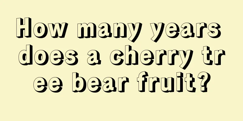 How many years does a cherry tree bear fruit?