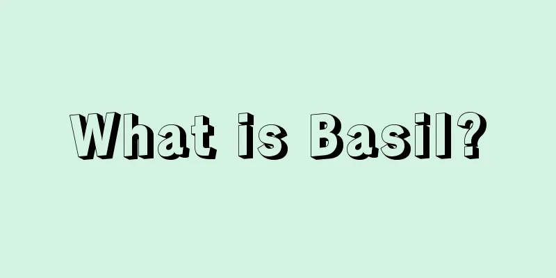 What is Basil?