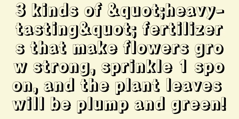 3 kinds of "heavy-tasting" fertilizers that make flowers grow strong, sprinkle 1 spoon, and the plant leaves will be plump and green!