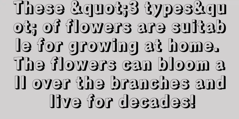 These "3 types" of flowers are suitable for growing at home. The flowers can bloom all over the branches and live for decades!