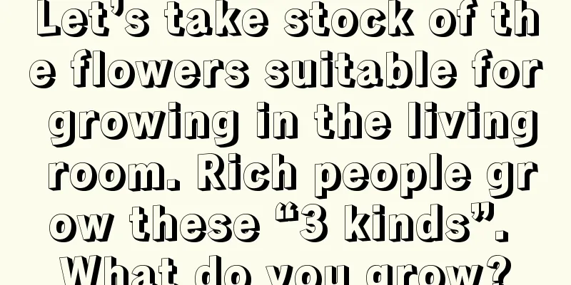 Let’s take stock of the flowers suitable for growing in the living room. Rich people grow these “3 kinds”. What do you grow?