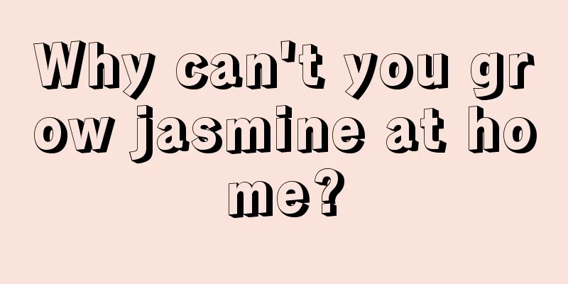 Why can't you grow jasmine at home?