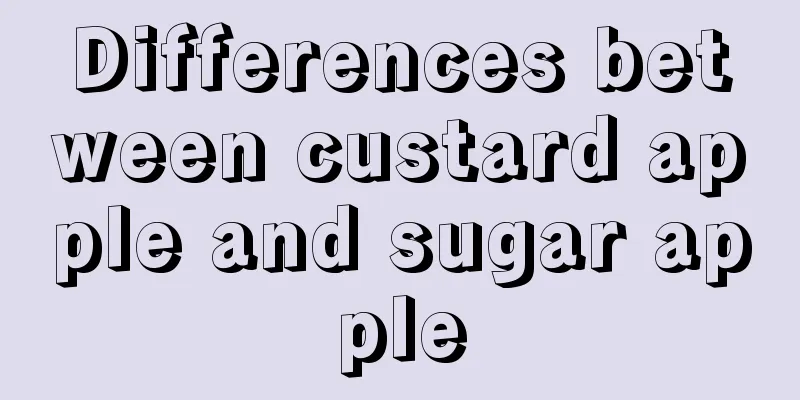 Differences between custard apple and sugar apple