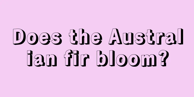 Does the Australian fir bloom?