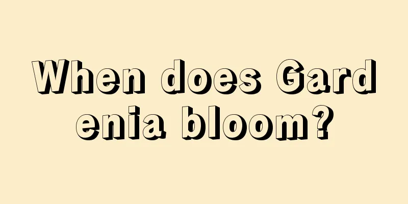 When does Gardenia bloom?