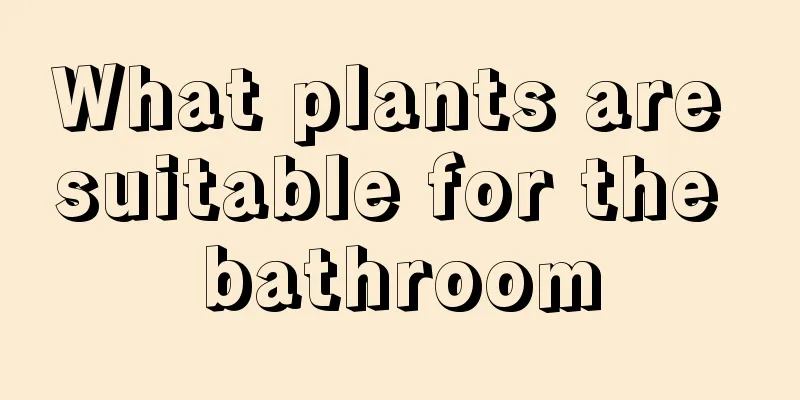 What plants are suitable for the bathroom