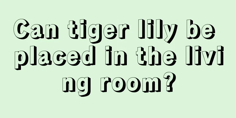 Can tiger lily be placed in the living room?