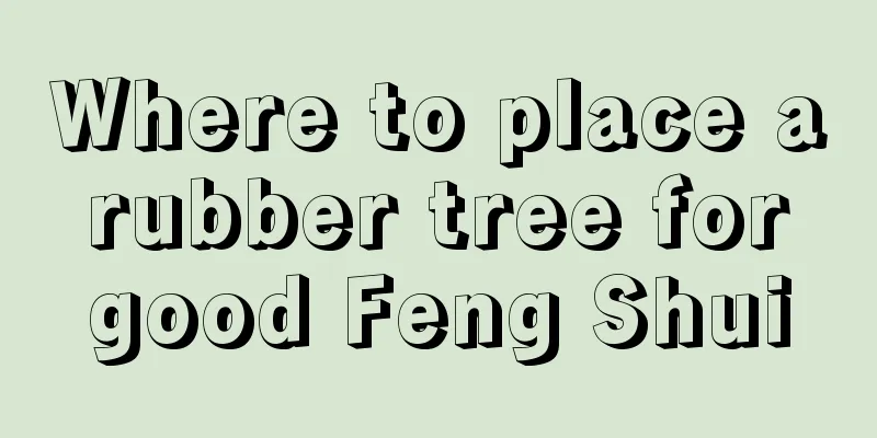 Where to place a rubber tree for good Feng Shui