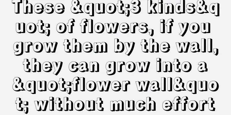 These "3 kinds" of flowers, if you grow them by the wall, they can grow into a "flower wall" without much effort