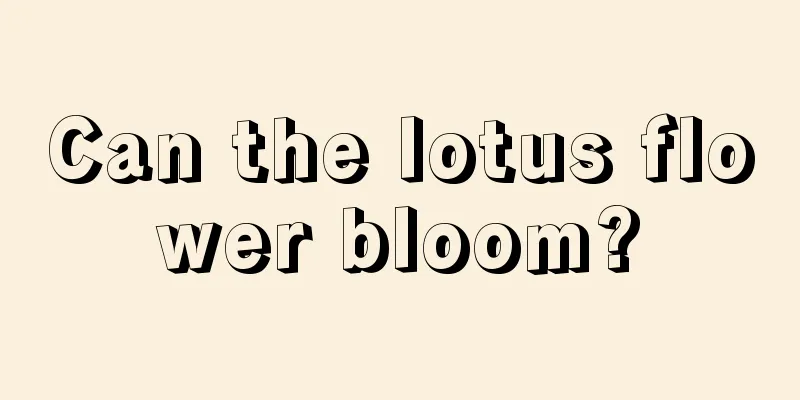 Can the lotus flower bloom?