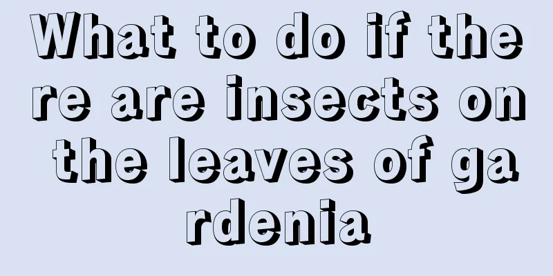 What to do if there are insects on the leaves of gardenia